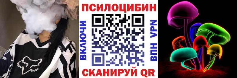 как найти   Рассказово  Галлюциногенные грибы мицелий 